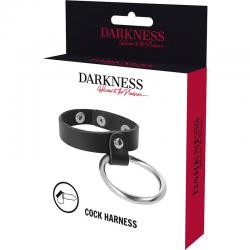 Darkness anillo de metal para el pene y testículos