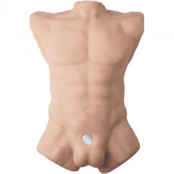 Silexd - apollo l torso realistico masculino