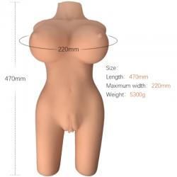 Armony - torso femenino realistico modelo 6