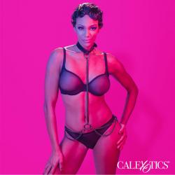 Calexotics - euphoria collar halter y correa con cadena