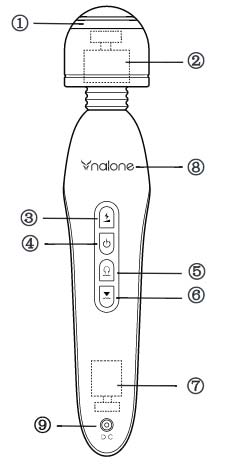 naloeelectro.jpg